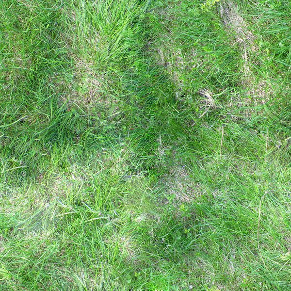 Texture JPEG grass