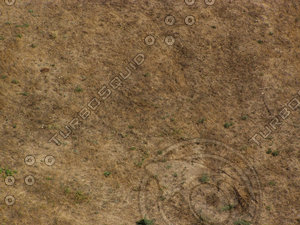 Ground 5