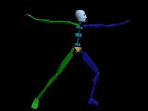 Locomotion Jump Lower 527