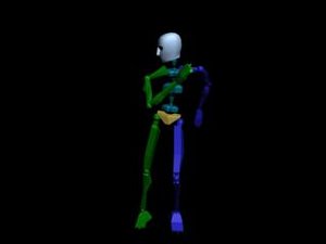 Locomotion Run 006