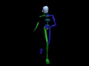 Locomotion Run 007