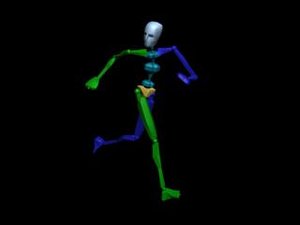 Locomotion Run 364