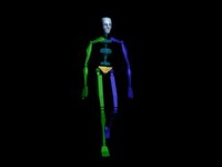 Locomotion Walk 002