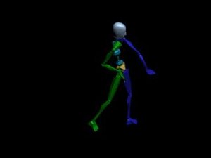 Locomotion Walk 135