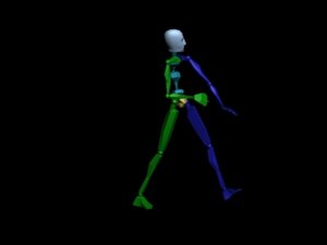Locomotion Walk 301