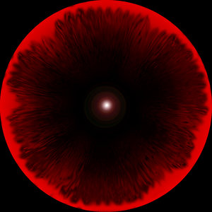 red space portal