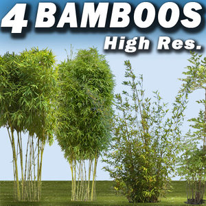 4 Bamboos Collection - High Resolution