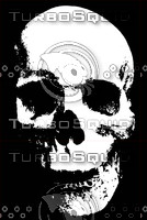 skull.jpg