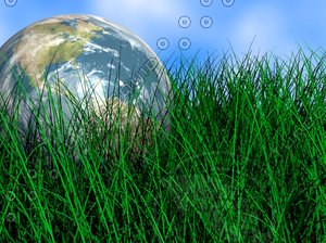 The Earth in Grass