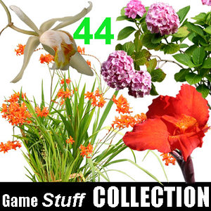 Collection_Flower_2
