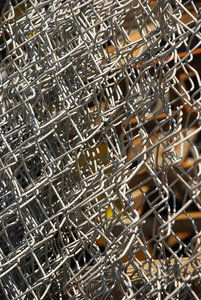 Fence.jpg