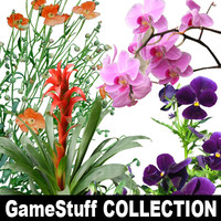FLOWERS_COLLECTION_01_01