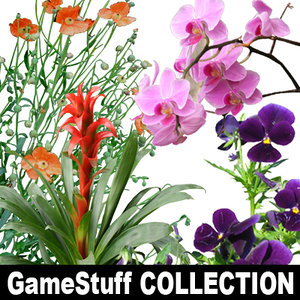 FLOWERS_COLLECTION_01_01