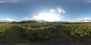 Highres HDRI 012