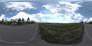 Highres HDRI 020 Nature