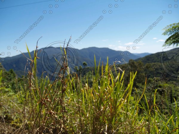 Stock JPEG mountains trees valleys