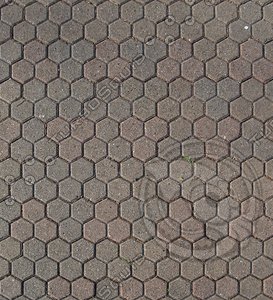 PC182074.jpg