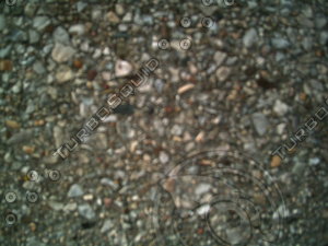 PICT0841.JPG