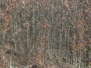 PICT0849.JPG