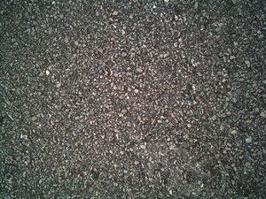 PICT0885.JPG