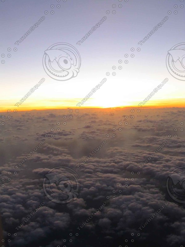 https://static.turbosquid.com/Preview/2014/08/01__16_23_45/Plane_Pic_15.jpg1331c9b7-0ace-494c-8c8d-236675a63fc2Original.jpg