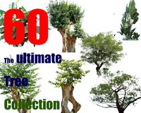 The Ultimate Tree Collection 1