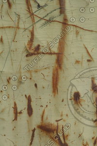 green rusted metal_3.JPG