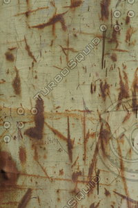 green rusted metal_5.JPG
