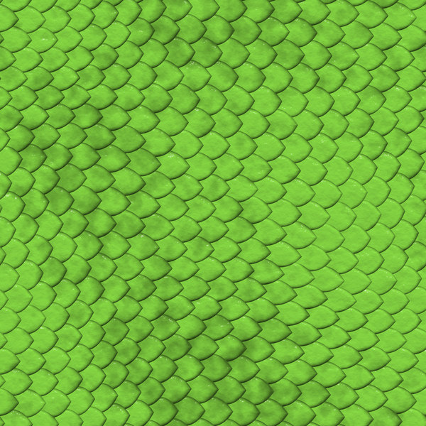 Texture JPEG reptile green scales