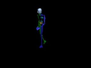 Locomotion Run 076