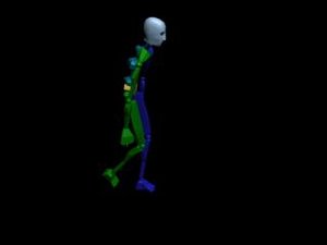 Locomotion Walk 163