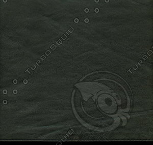 leather_halfsized_009