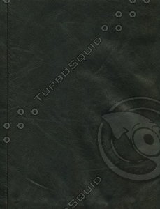 leather_halfsized_014