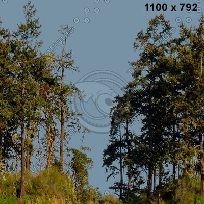  https://static.turbosquid.com/Preview/2014/08/01__16_44_19/01.jpgc0d8423f-e532-4f71-a8df-afb57d64195eLarger.jpg