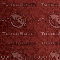 1024 red blood cell