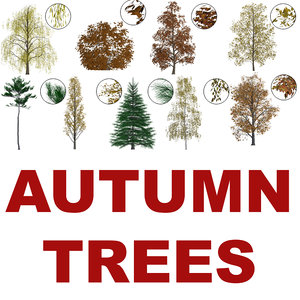 Autumn Trees