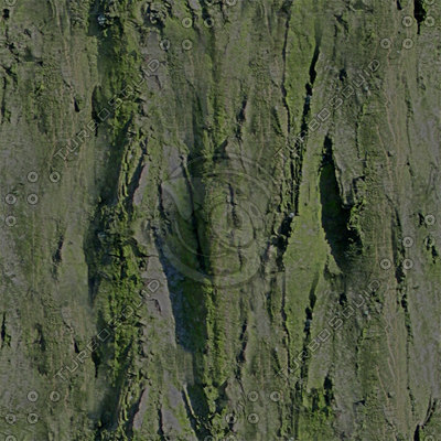 Texture Targa bark textures tiles