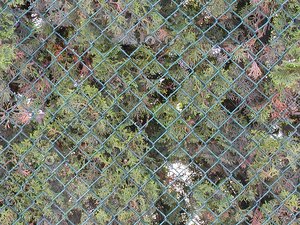 Fence 2 - Tileable