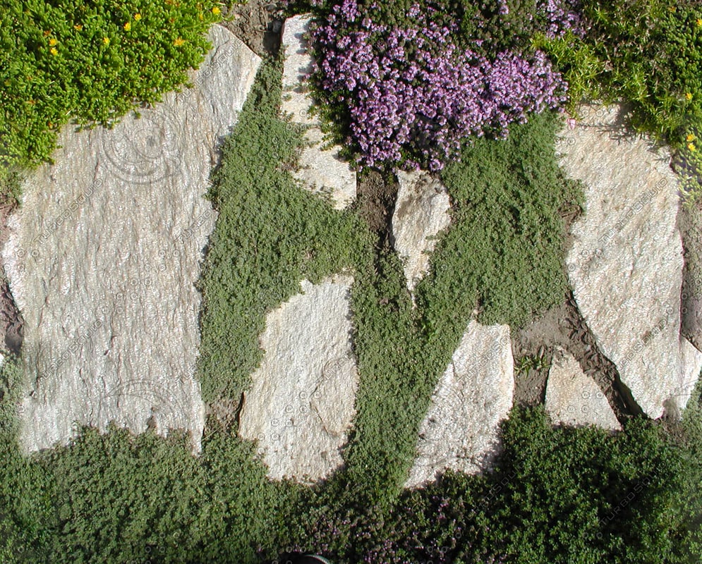  https://static.turbosquid.com/Preview/2014/08/01__16_44_19/FOLIAGE0044.bmp2c6a200e-1e42-4762-8097-cc974c9c5e23Original.jpg