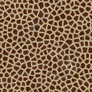 Seamless Giraffe Fur Textures