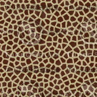 Seamless Giraffe Fur Textures