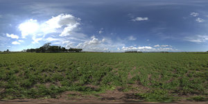 Highres HDRI 018 8000x4000 px