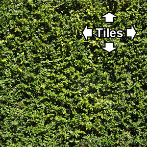 Hedge - Game Ready (Seamless)