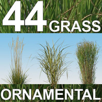 44 Ornamental Grass Textures
