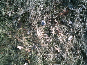 PICT0853.JPG