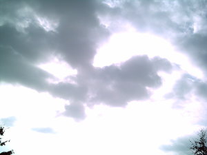 PICT0886.JPG