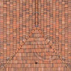 Roof_01