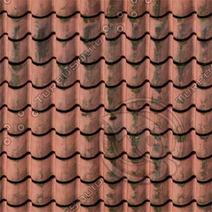 Roof_04