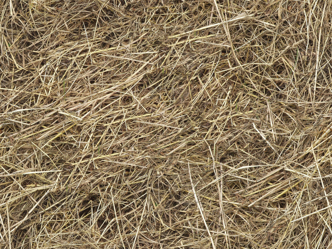 Texture JPEG straw hay haystack