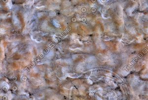 Textile 38 - Tileable